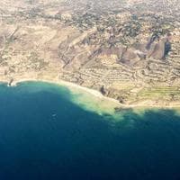 Anne, Bebek, Oyuncak Firması 11