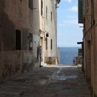 Anne, Bebek, Oyuncak Firması 12