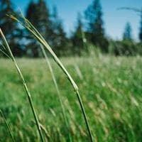 Anne, Bebek, Oyuncak Firması 15