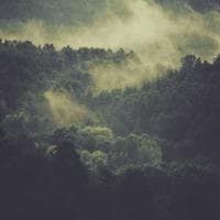 Anne, Bebek, Oyuncak Firması 16