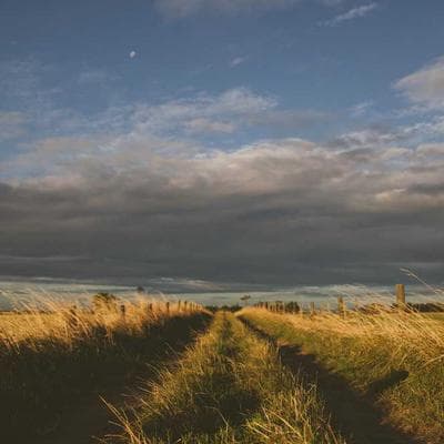 Ekonomik Anne, Bebek, Oyuncak Ürünü 2