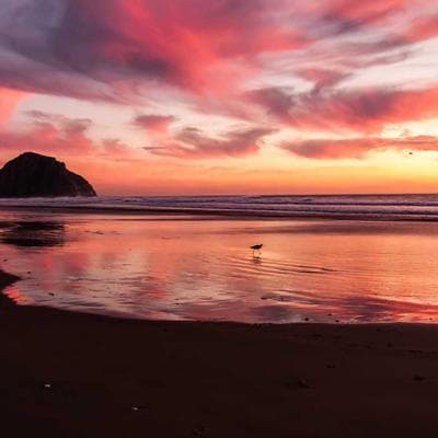 Kaliteli Anne, Bebek, Oyuncak Ürünü 14