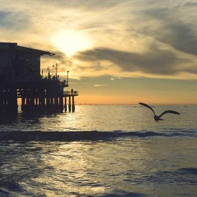 Lüks Anne, Bebek, Oyuncak Ürünü 19