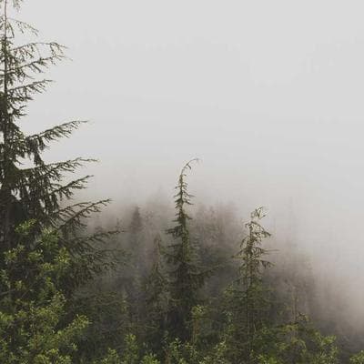 Kaliteli Anne, Bebek, Oyuncak Ürünü 6