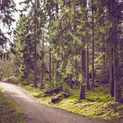 Doğal Anne, Bebek, Oyuncak Ürünü 19