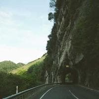 Anne, Bebek, Oyuncak Firması 2