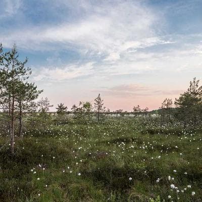 Kaliteli Anne, Bebek, Oyuncak Ürünü 11