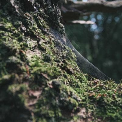 Kaliteli Anne, Bebek, Oyuncak Ürünü 3