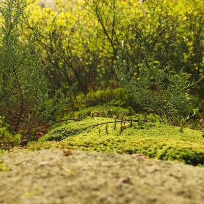 Ekonomik Anne, Bebek, Oyuncak Ürünü 16