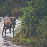 Anne, Bebek, Oyuncak Firması 6