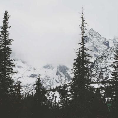 Doğal Anne, Bebek, Oyuncak Ürünü 3