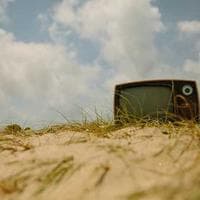 Anne, Bebek, Oyuncak Firması 7