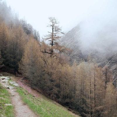 Kaliteli Anne, Bebek, Oyuncak Ürünü 15