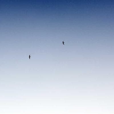 Yeni Sezon Anne, Bebek, Oyuncak Ürünü 3