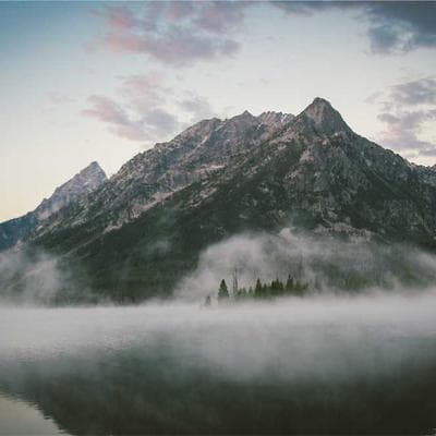 Kaliteli Gıda Ürünleri Ürünü 15