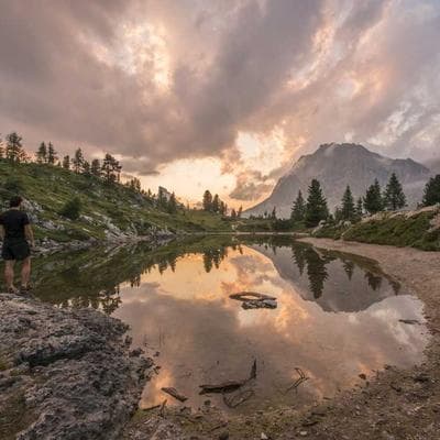 Sertifikalı Gıda Ürünleri Ürünü 11
