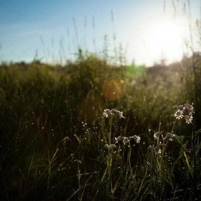 Yeni Sezon Gıda Ürünleri Ürünü 13