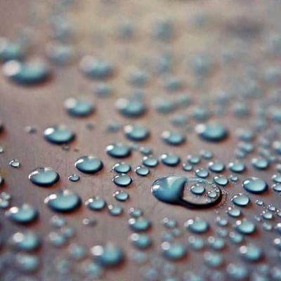 Yeni Sezon Gıda Ürünleri Ürünü 4