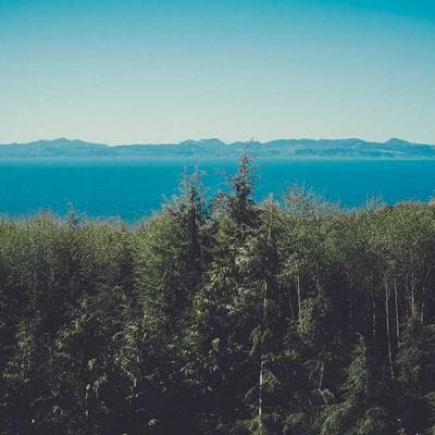 Doğal Gıda Ürünleri Ürünü 9