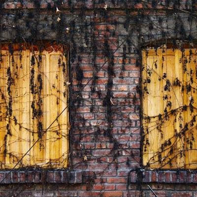 Organik Gıda Ürünleri Ürünü 10