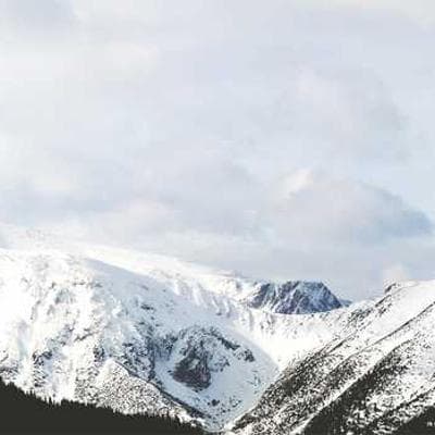 Özel Üretim Gıda Ürünleri Ürünü 15