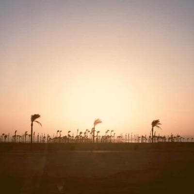 Organik Gıda Ürünleri Ürünü 4