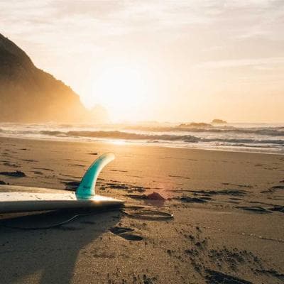 Ekonomik Gıda Ürünleri Ürünü 13