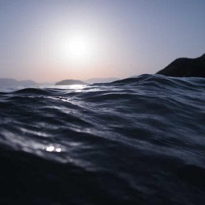 Lüks Gıda Ürünleri Ürünü 16