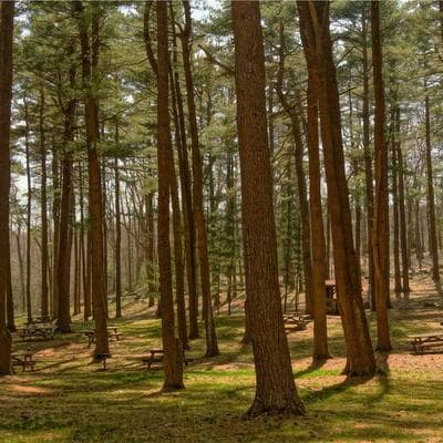 Ekonomik Gıda Ürünleri Ürünü 17