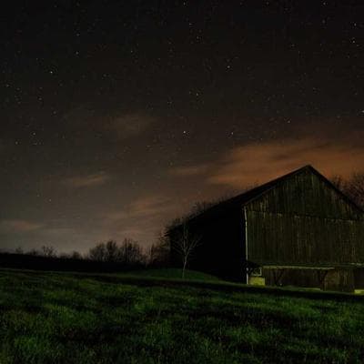 Lüks Gıda Ürünleri Ürünü 11