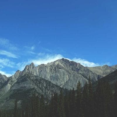 İthal Gıda Ürünleri Ürünü 13