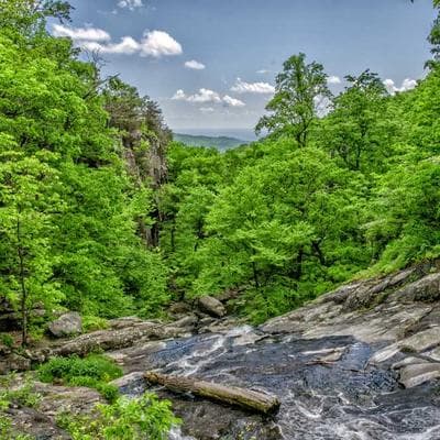 İthal Gıda Ürünleri Ürünü 16