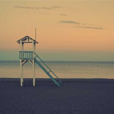 Yeni Sezon Gıda Ürünleri Ürünü 3