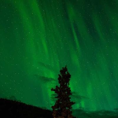 Ekonomik Gıda Ürünleri Ürünü 8