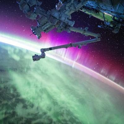 Lüks Gıda Ürünleri Ürünü 1