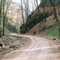 Gıda Ürünleri Firması 19