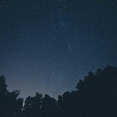 Kaliteli Gıda Ürünleri Ürünü 11