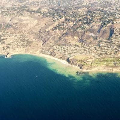 Yeni Sezon Gıda Ürünleri Ürünü 9