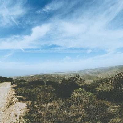 Yeni Sezon Gıda Ürünleri Ürünü 13