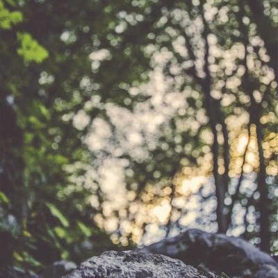 Özel Üretim Gıda Ürünleri Ürünü 5