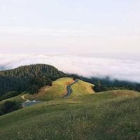 Gıda Ürünleri Firması 20