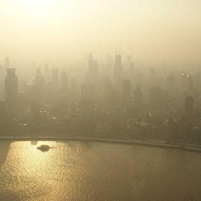 Ekonomik Gıda Ürünleri Ürünü 20