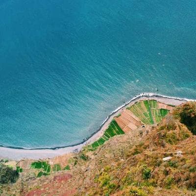 Lüks Gıda Ürünleri Ürünü 5