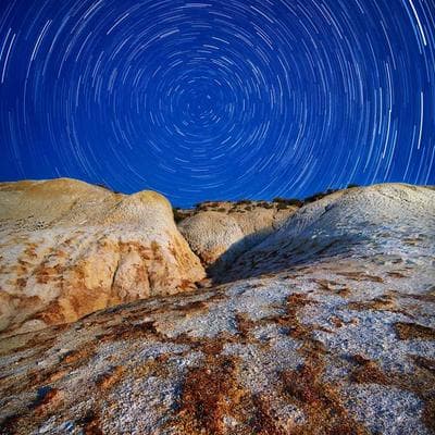 Kaliteli Gıda Ürünleri Ürünü 8