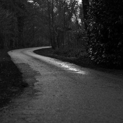 İthal Gıda Ürünleri Ürünü 11