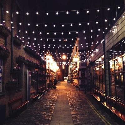 Yeni Sezon Gıda Ürünleri Ürünü 12