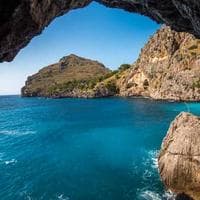 Gıda Ürünleri Firması 4