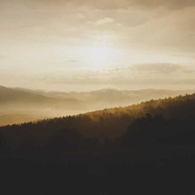 İthal Gıda Ürünleri Ürünü 6