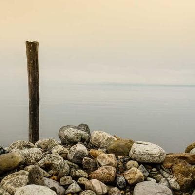 Özel Üretim Gıda Ürünleri Ürünü 7