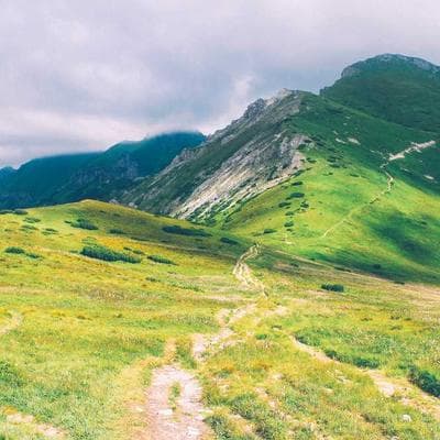 Sertifikalı Gıda Ürünleri Ürünü 20